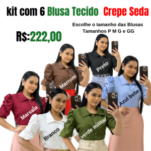 Kit com 6 Blusas